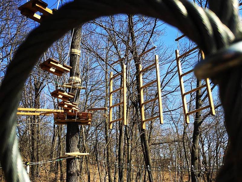 Canopy kötélpálya a fák között
